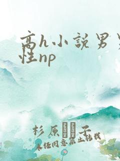 高h小说男男双性np