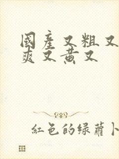 国产又粗又猛又爽又黄又