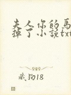 夫人你的马甲又掉了小说txt