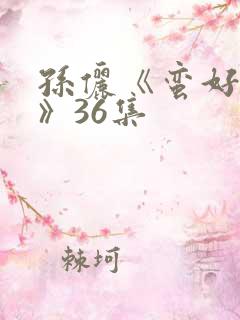 孙俪《蛮好人生》36集