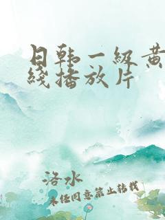 日韩一级黄色在线播放片