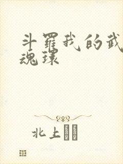 斗罗我的武魂是魂环