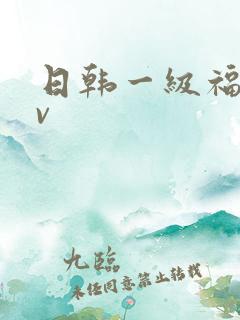 日韩一级福利av