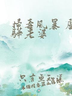 扫毒风暴 卢少骅老婆