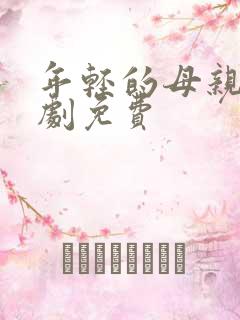 年轻的母亲电视剧免费