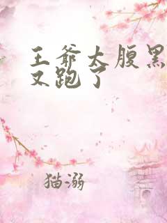 王爷太腹黑王妃又跑了