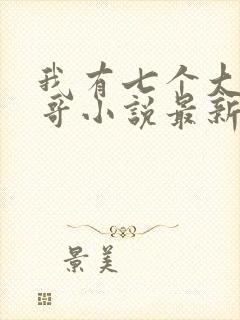 我有七个大佬哥哥小说最新章节免费阅读全文