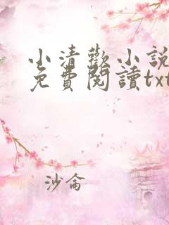 小清欢小说全文免费阅读txt下载