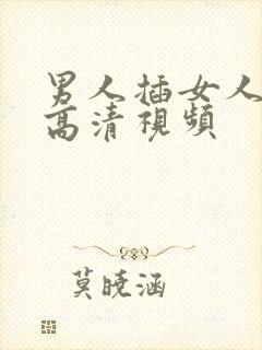 男人插女人下边高清视频