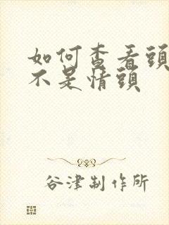 如何查看头像是不是情头