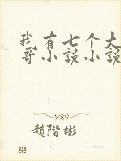 我有七个大佬哥哥小说小说