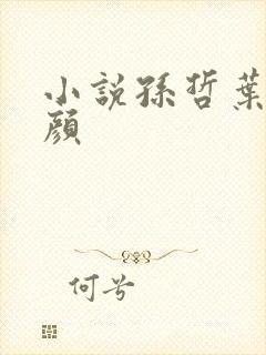 小说孙哲叶巧朱颜