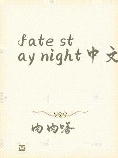 fate stay night中文