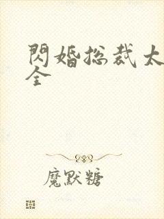 闪婚总裁太霸道全