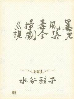 《扫毒风暴》电视剧全集免费观看