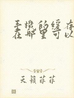 手机的缓存视频在哪里可以找到