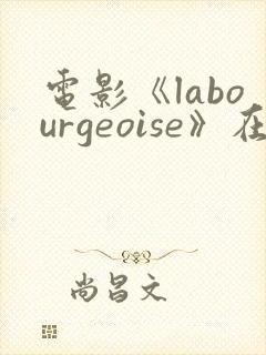 电影《labourgeoise》在线观看