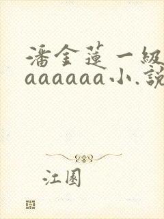 潘金莲一级淫片aaaaaa小.说