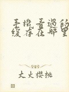 手机看过的视频缓存在哪里