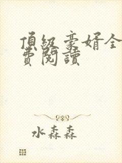 顶级豪婿全文免费阅读