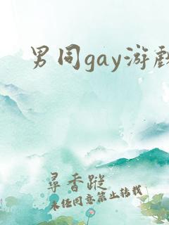男同gay游戏