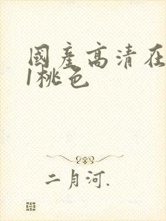 国产高清在线91桃色