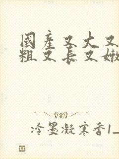 国产又大又爽又粗又长又嫩av