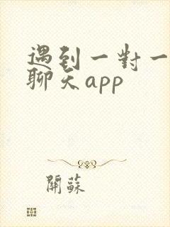 遇到一对一视频聊天app