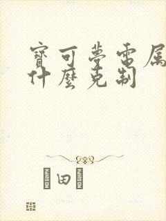 宝可梦电属性被什么克制