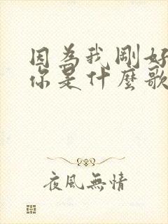 因为我刚好遇见你是什么歌