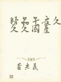 精品午夜久久久久久国产