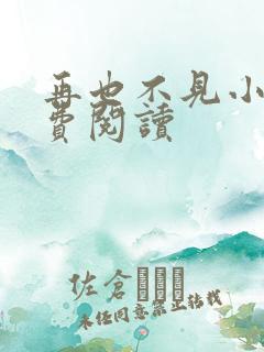 再也不见小说免费阅读