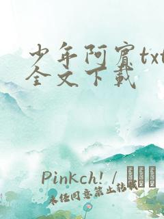 少年阿宾txt全文下载