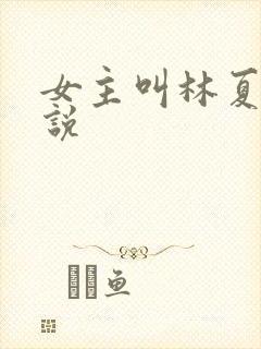 女主叫林夏的小说