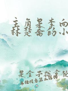 主角是李向南,林楚乔的小说