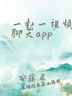 一对一视频聊天聊天app