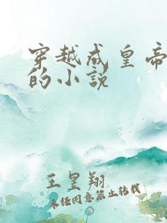 穿越成皇帝替身的小说