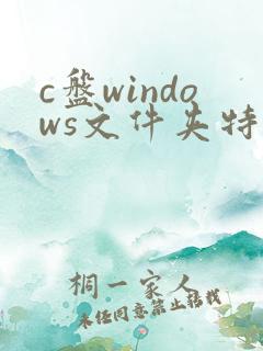 c盘windows文件夹特别大