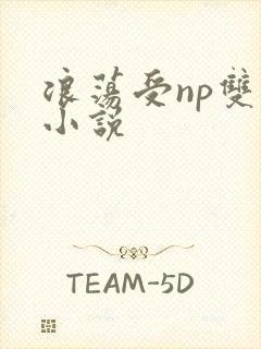 浪荡受np双性小说