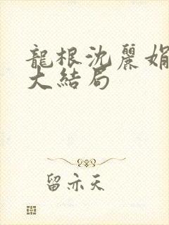 龙根沈丽娟小说大结局