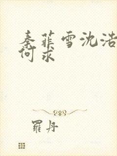 秦菲雪沈浩一生何求