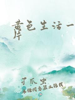 黄色生活一级大片