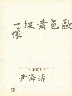 一级黄色欧美录像