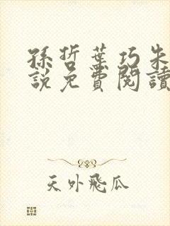 孙哲叶巧朱颜小说免费阅读