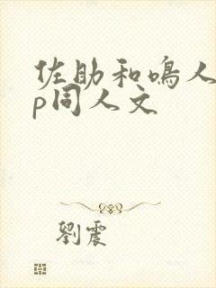 佐助和鸣人的cp同人文