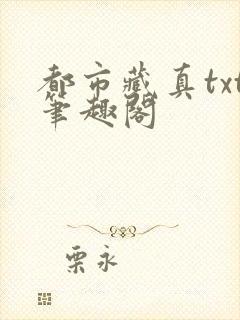 都市藏真txt笔趣阁