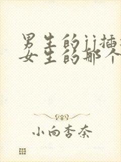 男生的jj插进女生的那个里