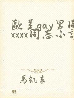 欧美gay男同xxxx同志小说