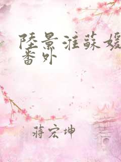 陆景淮苏媛后续番外