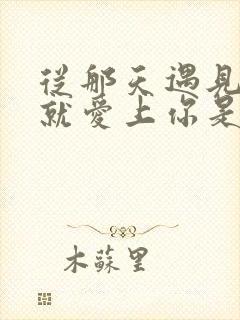 从那天遇见你我就爱上你是什么歌